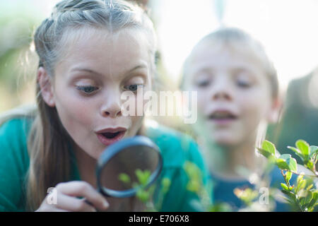 Brother and sister looking at plants with magnifying glass in garden Stock Photo