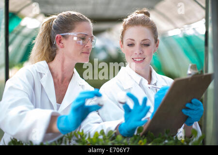 Female scientists monitoring plant samples and recording data Stock Photo