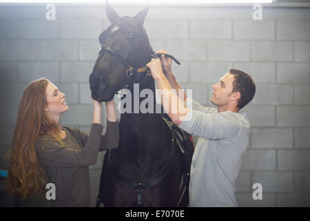 Male and female stablehands putting bridle onto horse in stables Stock Photo