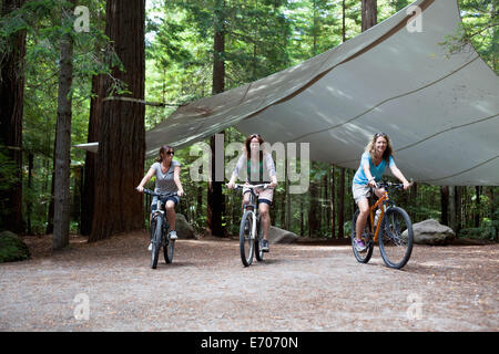 Three women mountain bikers cycling through forest Stock Photo