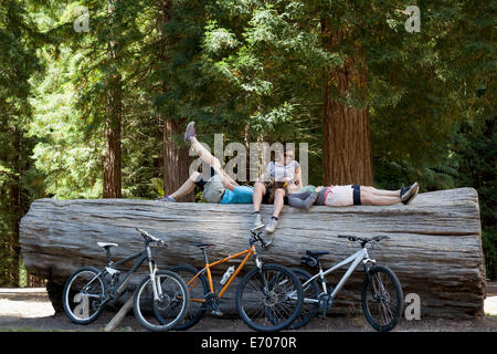 Three women mountain bikers taking a break on tree trunk in forest Stock Photo