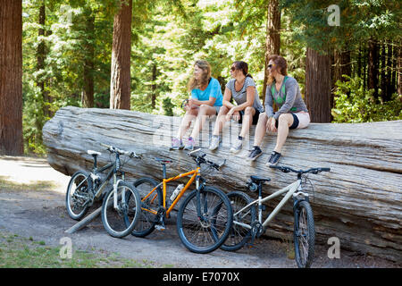 Three women mountain bikers sitting on tree trunk in forest Stock Photo