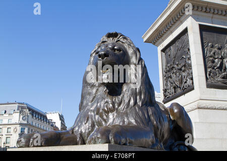 Blue skies over the Lions in Trafalgar Square London Stock Photo