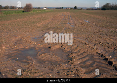 muddy field & tyre tracks after severe rain, Aldingbourne, Bognor Regis, Sussex Stock Photo