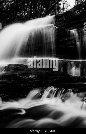 Vertical black and white image of Onondaga Falls, in Glen Leigh at Ricketts Glen State Park, Pennsylvania. Stock Photo