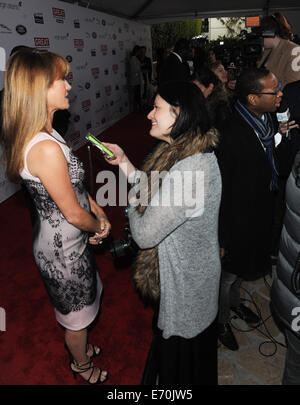 Great British Film Reception honours British nominees of the 86th Oscars - Arrivals  Featuring: Jane Seymour Where: LA, California, United States When: 28 Feb 2014 Stock Photo