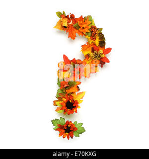 Autumn alphabet - question mark Stock Photo