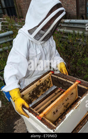 Replacing the super on the brood box