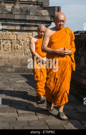 Shashu hi-res stock photography and images - Alamy Shashu hi-res stock photography and images - Alamy