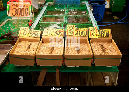 Tsukiji fish market, Tokyo, Japan, Asia, the largest wholesale seafood market in the world. Shop with shrimps, prawns, seafood Stock Photo