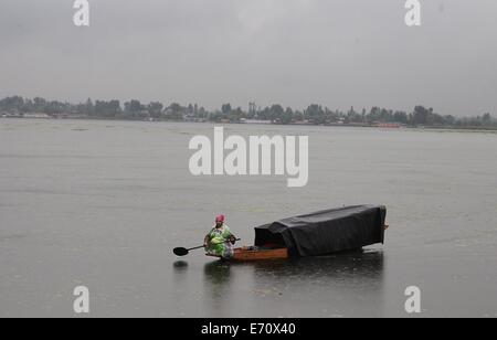 Srinagar, Indian-controlled Kashmir. 3rd Sep, 2014. A Kashmiri boatman rows his boat amid rains on Dal Lake in Srinagar, summer capital of Indian-controlled Kashmir, Sept. 3, 2014. © Javed Dar/Xinhua/Alamy Live News Stock Photo