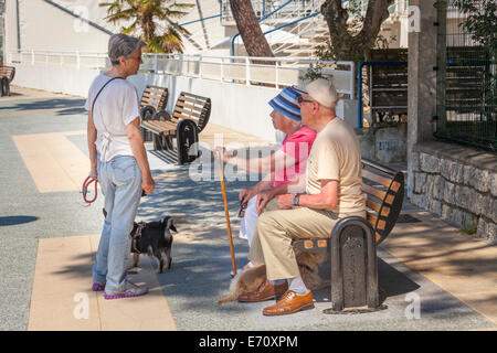 Elderly couple sitting on bench in shade talking to woman walking dog. Stock Photo