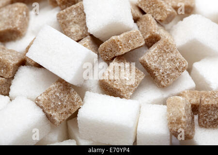 White and brown sugar cubes closeup. Stock Photo