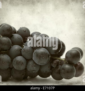 textured old paper background with dark grapes Stock Photo