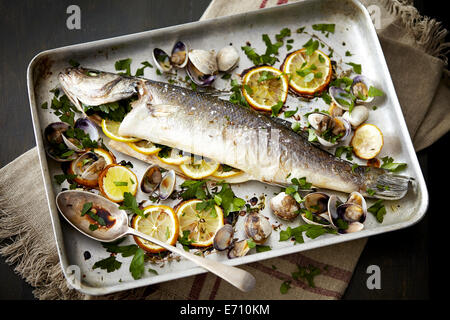Baking tray with baked fish stuffed with lemon and herbs Stock Photo