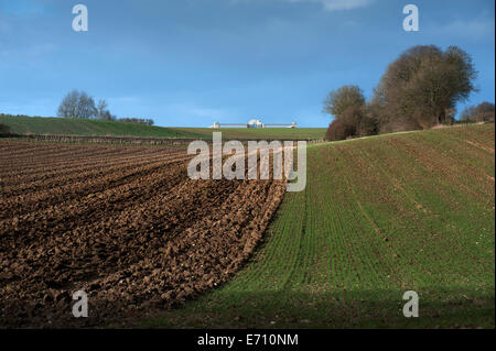 Somme WW1 Battlefield, July 1st-November 1916, France. Pozieres British Cemetery from the Albert-Bapaume Road. February 2014 The Stock Photo