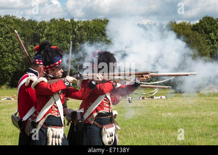 1st Battalion 42nd Highland Regiment of foot 1815 firing rifles at a historical re-enactment. Detling, Kent, UK Stock Photo