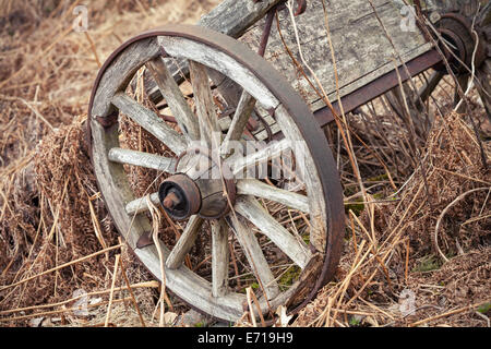 Old rural wooden wagon stands on dry grass Stock Photo