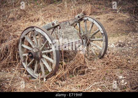 Old rural wooden wagon on dry grass Stock Photo