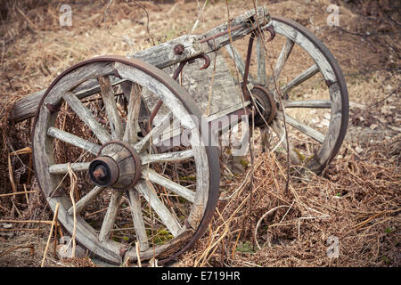 Old rural wooden wagon on dry grass Stock Photo