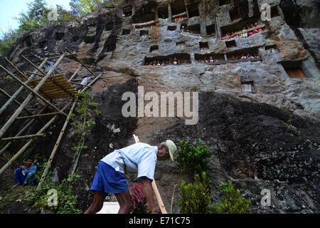 Aug. 30, 2014 - Tana Toraja, Sulawesi Selatan, INDONESIA - TORAJA, INDONESIA - SEPTEMBER 14: A view of the stone cemetery at Toraja on August 30,2014 in South Sulawesi, Indonesia. Regions ancient cemetery that has existed since the 11th century it was a family burial place. The bodies that are old and the remaining skulls were collected and then place filled again with new bodies of derivative family. Families who have a knighthood would be made Tautau (sculpture) which indicates the high degree of the family. (Credit Image: © Sijori Images/ZUMA Wire) Stock Photo