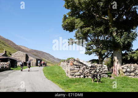Walkers walking through a farm in Nant Ffrancon valley in Snowdonia National Park. Bethesda, Gwynedd, North Wales, UK, Britain Stock Photo