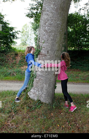 tree hugging Stock Photo