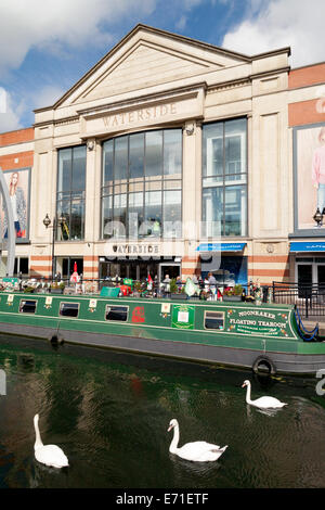 Swans on the River Witham in front of the Waterside Shopping Centre, Lincoln City centre, UK Stock Photo