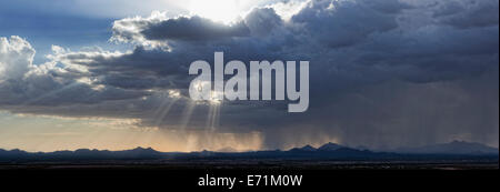 Sonoran Desert Squall, Tucson, Arizona Stock Photo