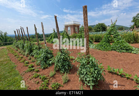 Vegetable Garden at Thomas Jefferson's Home - Monticello, VA Stock Photo