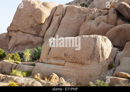 Monzogranite rock formation - Mojave desert, California USA Stock Photo