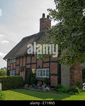 Historic 17th century British pub,The Holly Bush, red brick building with thatched roof near Chirk in Wales Stock Photo