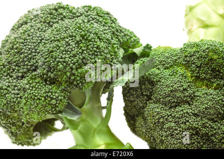 Closeup broccoli on white background Stock Photo