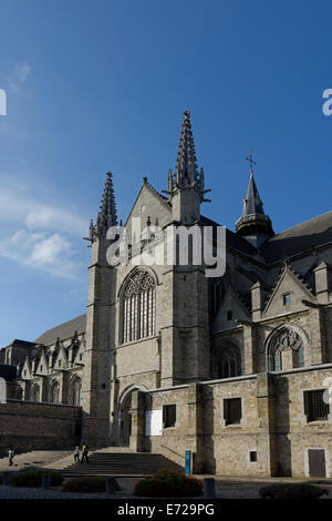 Sainte-Waudru Collegiate Church, Mons, Hainaut Province, Wallonia, Belgium Stock Photo