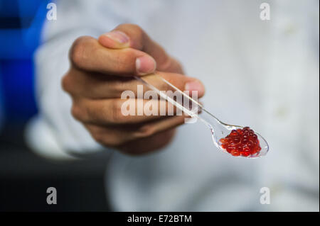 London, UK. 4th Sep, 2014. An edible 3D printed rasberry printed by Dovetailed using a molecular-gastronomy technique called spherification is on display at the 3D Printshow at the Old Billingsgate in London. 3D Printshow brings together the biggest names in 3D printing technology alongside the most creative, exciting and innovative individuals using additive processes today.  Credit:  Piero Cruciatti/Alamy Live News Stock Photo