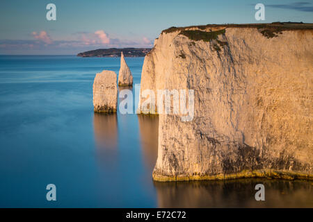 Dawn at the white cliffs and Harry Rocks at Studland, Isle of Purbeck, Jurassic Coast, Dorset, England Stock Photo