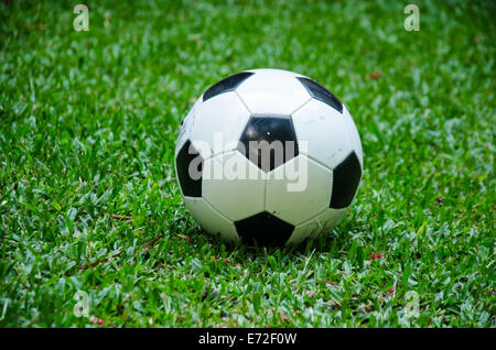 black and white football on grass Stock Photo