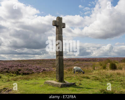 Young Ralph Cross Blakey Ridge North York Moors National Park UK Stock Photo