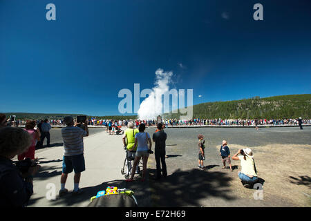 People watching Old Faithful geyser erupt. Stock Photo