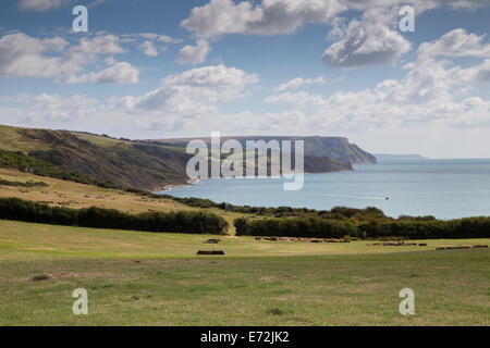 View to Osmington Mills across dramatic Jurassic coastline near Weymouth, Dorset UK Stock Photo