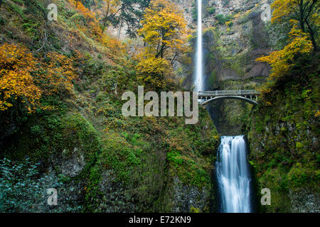 Multnomah Falls in autumn in the Columbia Gorge National Scenic Area, Oregon, USA. Stock Photo