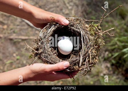 Hands holding nest with egg. Nature background. Stock Photo