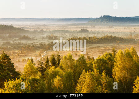 Dreamlike landscape at the Torronsuo swamp in Finland on an early morning. Stock Photo