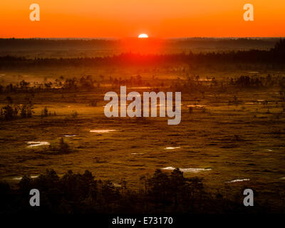 Sun rising on an early morning at the Torronsuo Swamp in Finland. The sun just barely visible on the horizon. Stock Photo