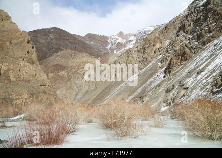 Frozen river in Rumbak Valley, Hemis National Park, Ladakh, India, Asia Stock Photo
