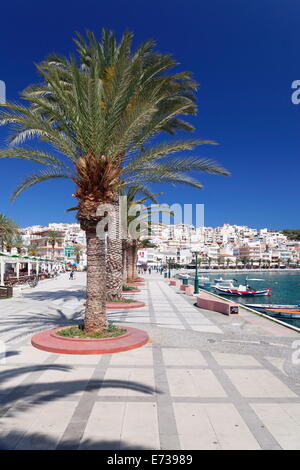 Promenade on seaside, Sitia, Eastern Crete, Crete, Greek Islands, Greece, Europe Stock Photo