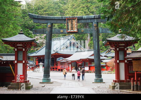 Torii gate, Nikko shrine, UNESCO World Heritage Site, Tochigi Prefecture, Honshu, Japan, Asia Stock Photo