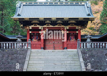 Nikko shrine, UNESCO World Heritage Site, Tochigi Prefecture, Honshu, Japan, Asia Stock Photo