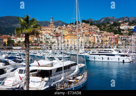Old Town and Marina, Menton, Cote d'Azur, French Riviera, Provence, France, Mediterranean, Europe Stock Photo