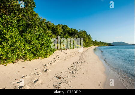 White sandy beach, Oarsman Bay, Yasawas, Fiji, South Pacific, Pacific Stock Photo